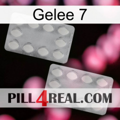 Jelly 7 17